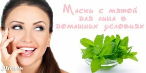 Масло мяты для кожи лица - маски, настой и мятный лёд - jlica.ru